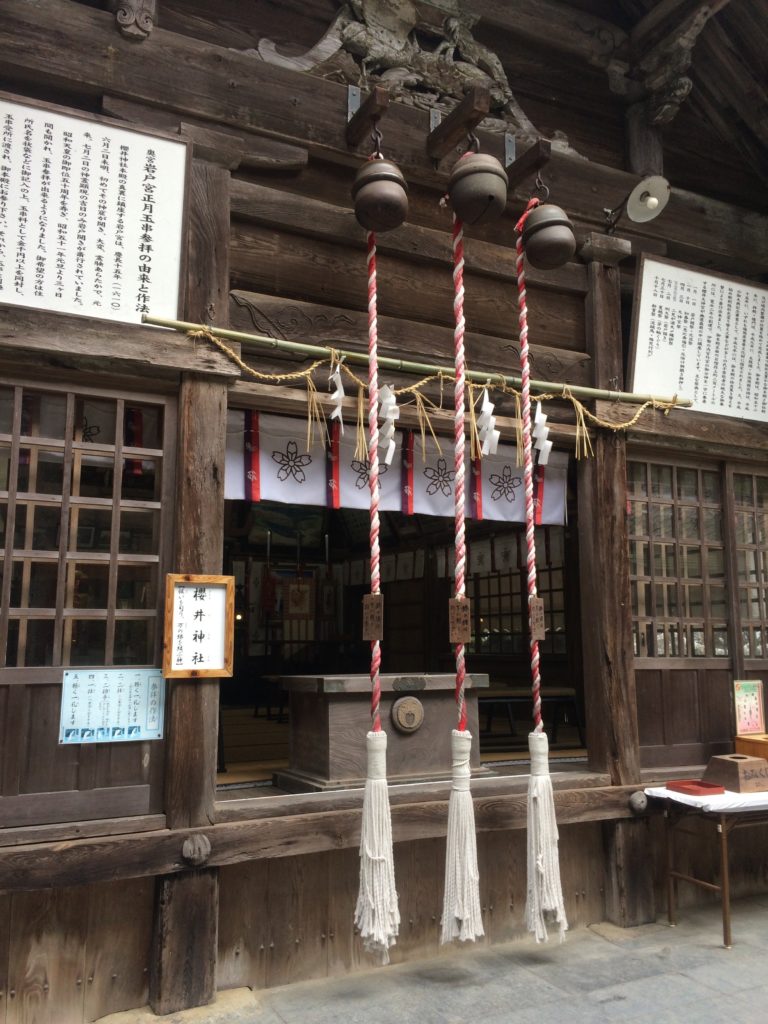 桜井神社の写真
