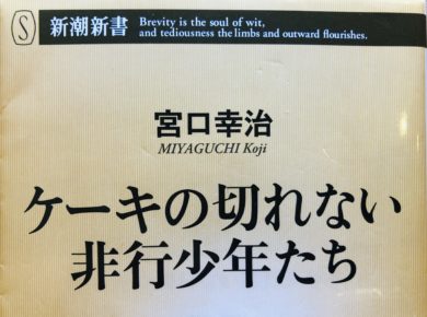 書評レビュー カズレーザー推し本 ケーキの切れない非行少年たち 宮口幸治 要約と感想 Hop Consulting